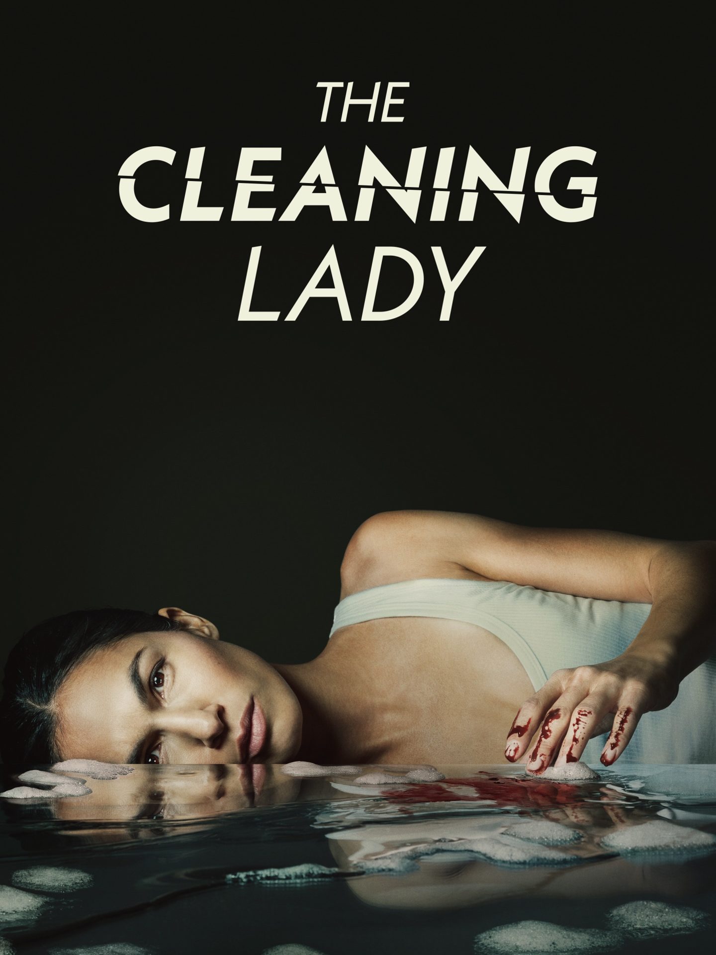 Read More About The Article The Cleaning Lady S03 (Complete) | Tv Series