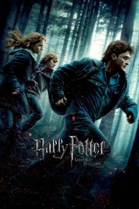 Download Squad 36 Read More About The Article Harry Potter And The Deathly Hallows Part 1 (2010) | Hollywood Movie