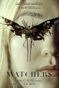 Download Mcveigh Read More About The Article The Watchers (2024) | Hollywood Movie