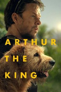 Download Captain America The Winter Soldier Read More About The Article Arthur The King (2024) | Hollywood Movie