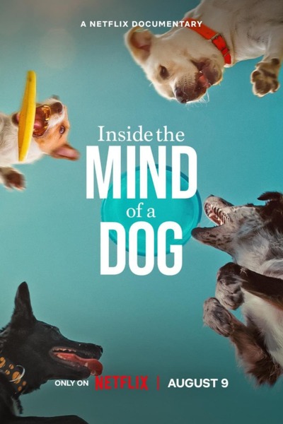 Download The Sky Above Zenica Read More About The Article Inside The Mind Of A Dog (2024) | Documentary Movie