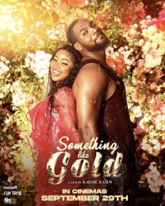Download A Bag Of Trouble Read More About The Article Something Like Gold (2023) | Nollywood Movie