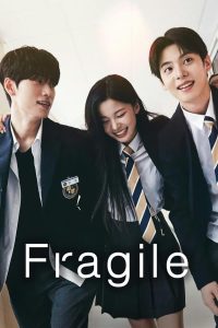 Download Decoy Read More About The Article Fragile S01 (Episode 8 Added) | Korean Drama