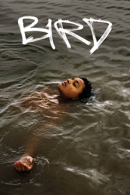 Download Bird You Are Currently Viewing Bird (2024) | Hollywood Movie