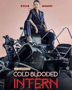 Download Summer Guys Read More About The Article Cold Blooded Intern S01 (Complete) | Korean Drama