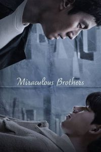 Download Fight For My Way Read More About The Article Miraculous Brothers S01 (Complete) | Korean Drama