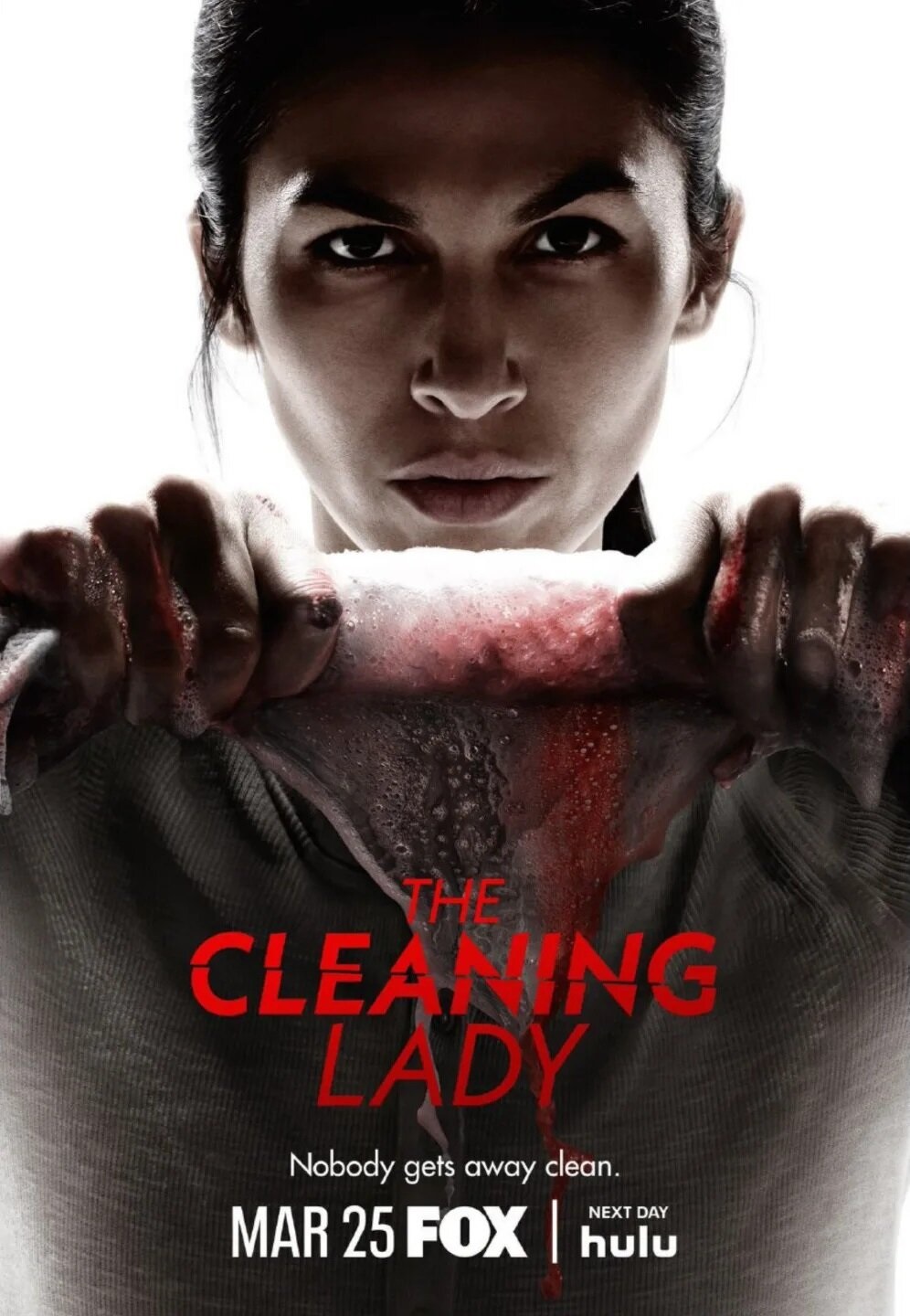 Download The Cleaning Lady You Are Currently Viewing The Cleaning Lady S04 (Episode 9 Added) | Tv Series