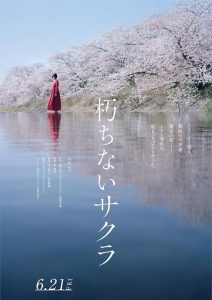 Download Kingdom 2 Read More About The Article Sakura (2024) | Japanese Movie