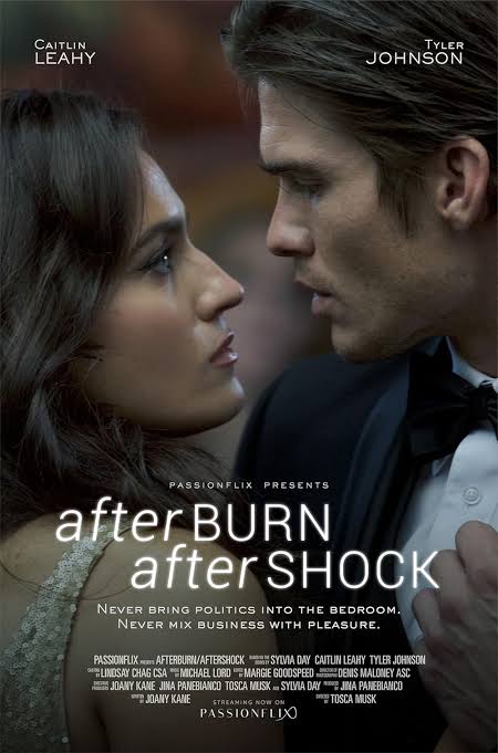Read More About The Article Afterburn Aftershock (2017) | Hollywood Movie